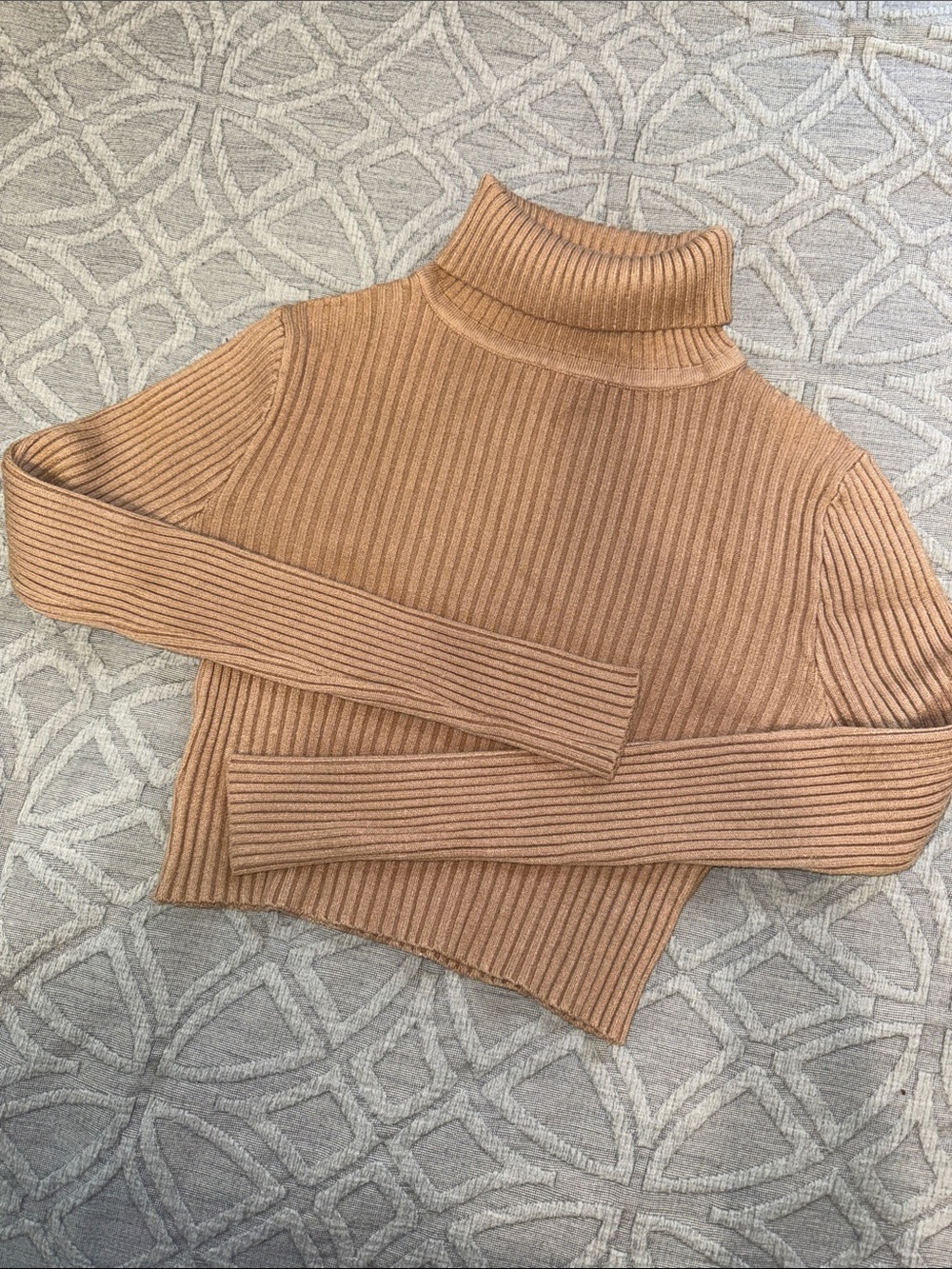 Mid-Weight Ribbed Cropped Turtleneck Sweater